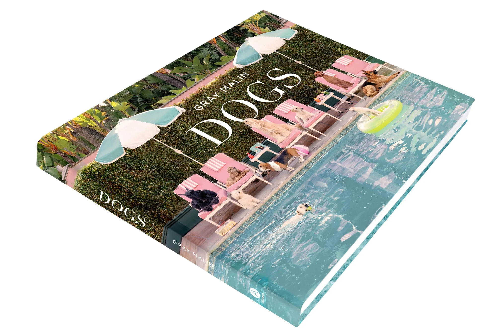 DOGS Book - Image 3