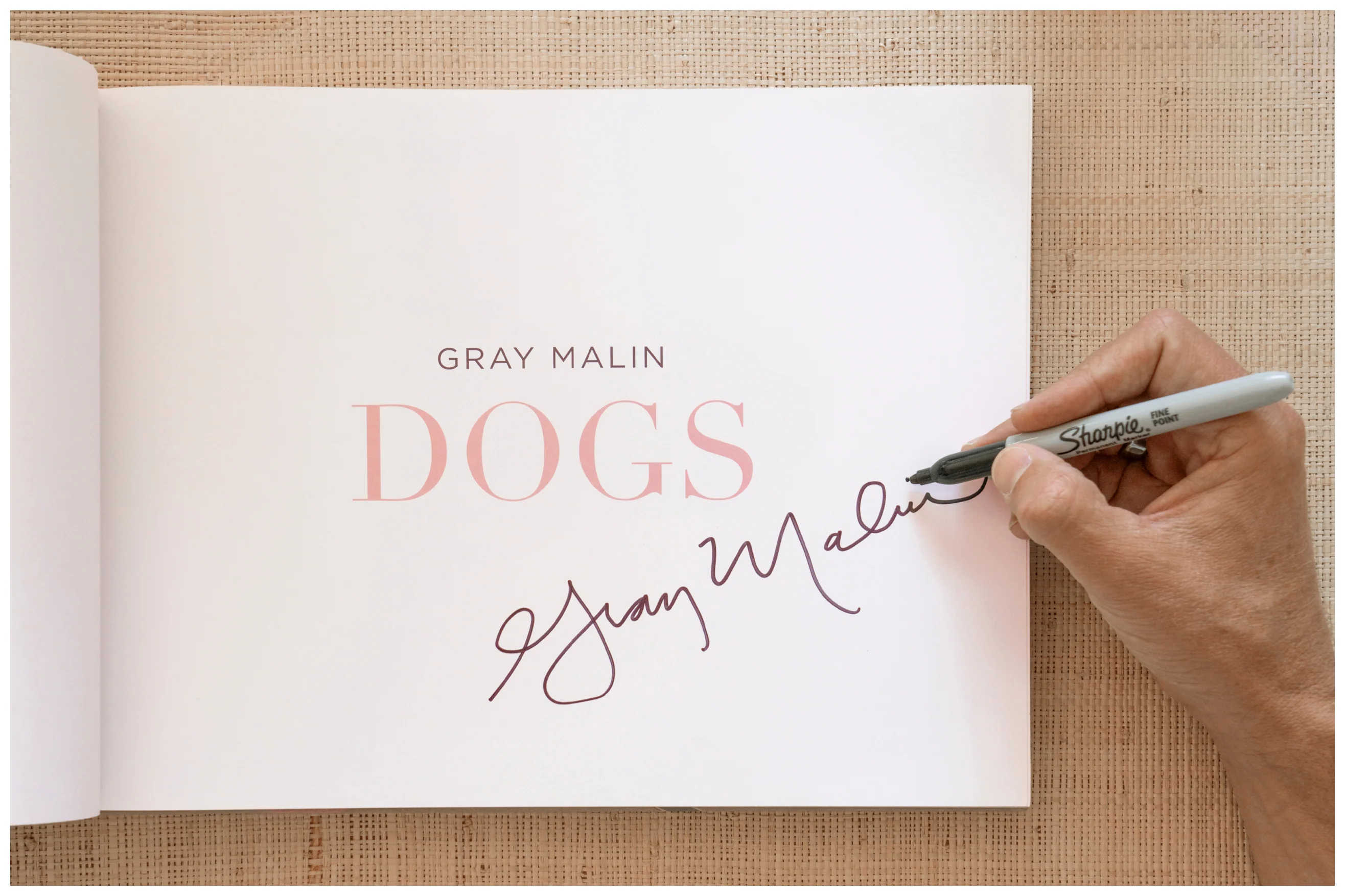 DOGS Signed Collector's Edition - Image 6