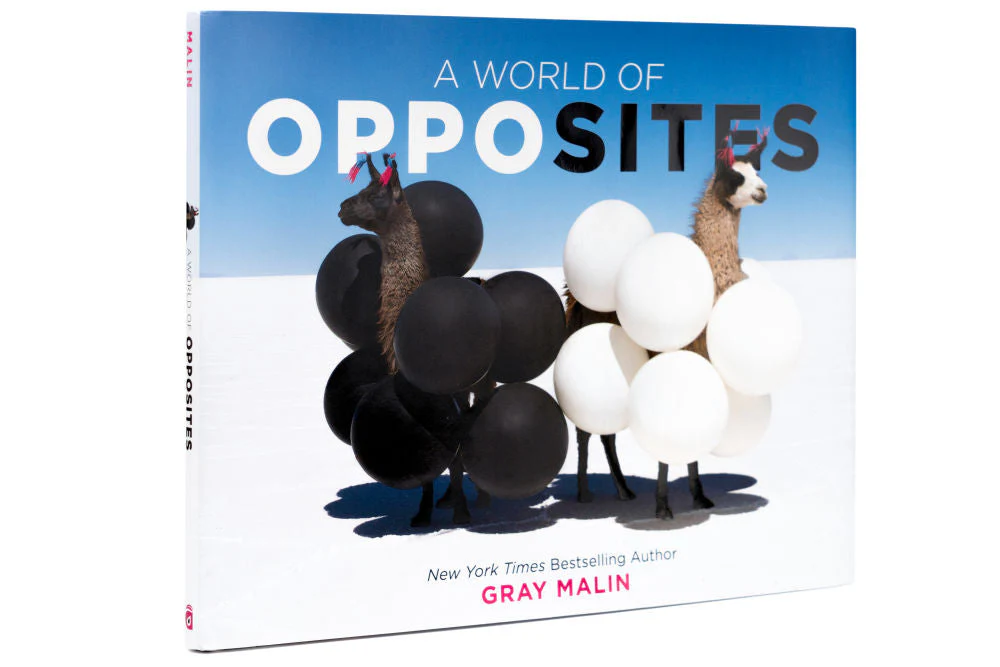 A World of Opposites - Image 4